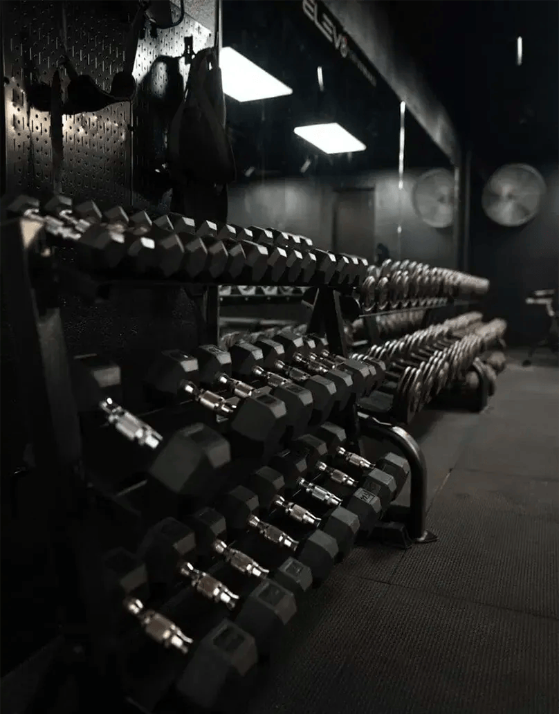 open gym program at Elev8 Performance